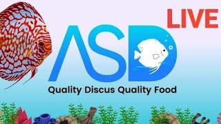 ASD DISCUS  is live ALL FISH KEEPERS ARE WELCOME ️