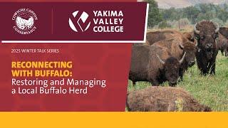 Reconnecting with Buffalo: Restoring and Managing a Local Buffalo Herd