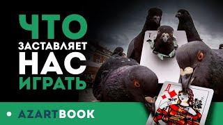 Выяснилось, почему люди играют в азартные игры! И это не деньги!