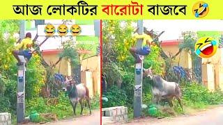 পশুদের মজার কর্মকান্ড   | Animals Funny Video Bangla 2024 | Part-14 |  Mayajaal | Bangla Rides