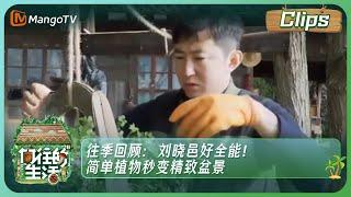 【精彩看点】《向往的生活7》往季回顾：刘晓邑好全能！简单植物秒变精致盆景| Back to Field S7 clips丨MangoTV