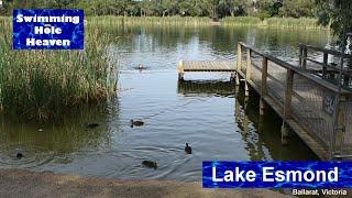 Swimming in Lake Esmond in Ballarat