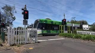 4K Yarra Trams at Albert Park Station - St Kilda Light Rail Tram Route 96