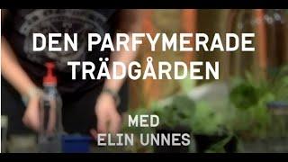 Sommarpyssel: Elin Unnes ger hemmet doft av magi!