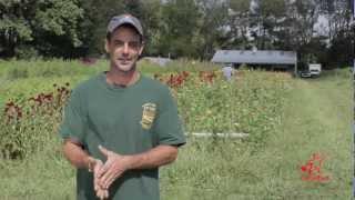 Small Business Success Story: Cherry Grove Organic Farm