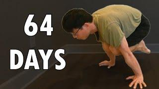 REAL Beginner Zero to Tuck Planche Progression in 64 Days - Road to Full Planche Ep1