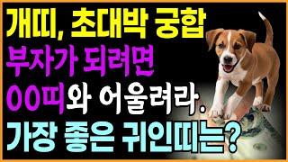 개띠 궁합_ 부자가 되고 싶다면 00띠와 어울리세요. 개띠에게 가장 좋은 귀인띠 |  명리학  오디오북 운세 인간관계  팔자 성공 재물운  신호 운명  띠별운세 금전운 행운 기운