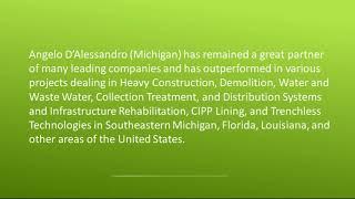 Angelo D’Alessandro Michigan - Experienced Professional