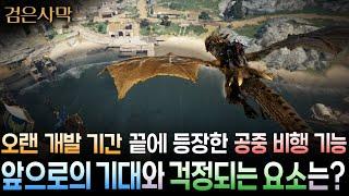 개발사가 오랜 기간 투자해서 개발한 공중 비행 시스템의 개발 의도와 앞으로 기대 및 걱정이 되는 요인에 대한 주관적인 생각