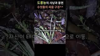도롱뇽의 사생활 밀착관찰,ㄷㄷ