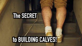 The SECRET to BUILDING CALVES!