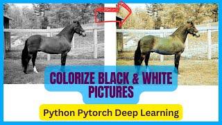 Colorizing Black & White Photos using Python and PyTorch | AI Deep Learning Project with Colab Code