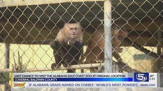 Last chance to visit The Alabama Gulf Coast Zoo at original location