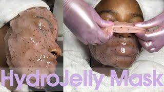 HydroJelly Mask - FULL Application and Removal