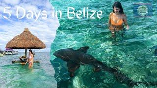 Belize: Swimming with sharks, visiting Mayan Ruins, and Getting a Tattoo