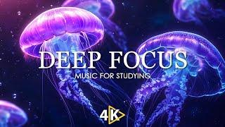 Work Music for Concentration - 12 Hours of Ambient Study Music to Concentrate #31