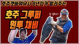 최고의 회맛! 그 그루퍼를 잡았던 원투채비  & 호주 그루퍼낚시 팁 #호주낚시 #원투채비 #그루퍼낚시