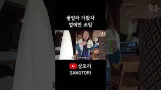 발리 우붓 풀빌라에서 벌에 쏘였다..... #shorts