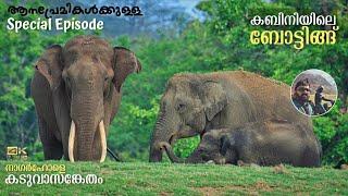 Kabini Boat Safari | JLR Package Ep 2 | Elephant Special Story