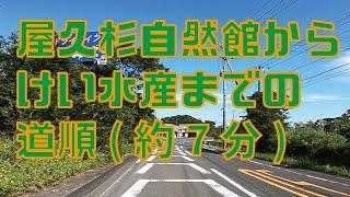 屋久杉自然館(ヤクスギランドも同様)から”けい水産”までの道順です。