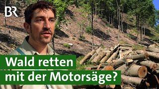 Mittelwald: Wald retten mit der Motorsäge? Bäume fällen gegen Klimawandel | Forst | Unser Land | BR