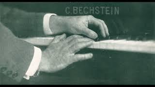 Eugen d'Albert, piano - Beethoven - Concerto No. 5, Op. 73 ('Emperor') - I (1930 - complete)