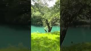 Prodaja zemljišta u Martinićima - Podgorica - Gradient d.o.o. Prodaja nekretnina Crna Gora