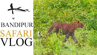 Sighting the Leopard  - Bandipur National Park Safari Vlog