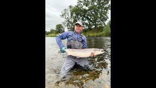 Salmon fishing at Middle Pavilion on the River Tweed