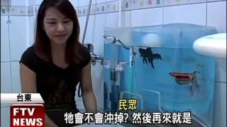 高職老師點子王  馬桶水箱養魚－民視新聞