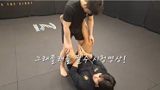 UFC선수 코치가 알려주는 알리이노키 포지션