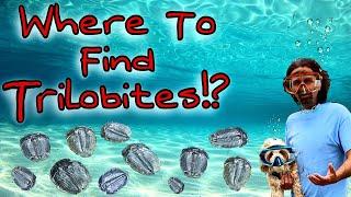 Trilobite Fossil Hunting Extravaganza!