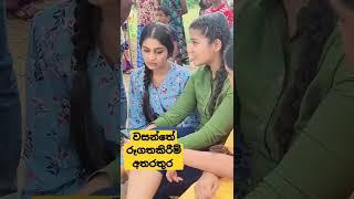 වසන්තේ රූගතකිරීම් අතරතුර | Michelle Dilhara | Roshel Rogers | Geethma Bandara #shorts #tvderana