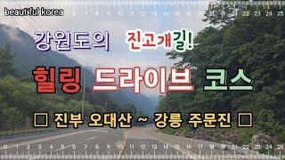 강원도의 힐링 드라이브 코스 추천: 진고개. Recommended healing drive course in Gangwon-do.