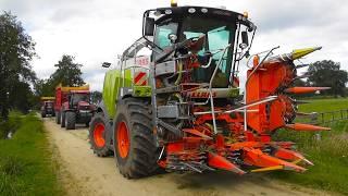 Schuttenbeld corn silage