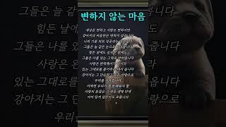 따뜻한 말 삶의 지혜 감성적인 글귀를 통해  지친 마음에 작은 위로가 되어드리고자 합니다