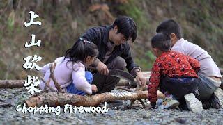 Today I Took My Little Friends Up the Mountain to Chop Firewood【Nostalgic Zhou Zhou】