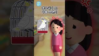 똑똑한 앵무새