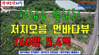 351. [제주도토지] 저지오름 저지예술인마을 인근ㅣ분할하기 좋은  입목축척도 만족  먼 바다경관ㅣ생태계 4-1등급  저촉 활용도 떨어져ㅣ광개토왕공인중개사 010-6232-6260