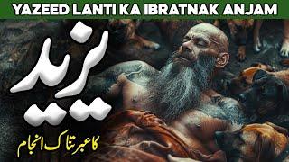 Yazid Ka Ibratnak Anjam | Yazeed Ki Qabar Ka Waqia | Yazeed Exposed | Yazid Death | Al Habib Islamic