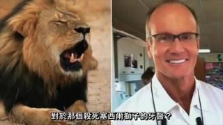 純素者眼裡的世界 THROUGH VEGAN EYES