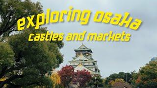 Castles & Markets & Birds, Oh My! - Osaka Vlog