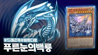 카이바 세토를 상징하는 초근본 일러스트의 귀환 #푸른눈의백룡 덱 - 유희왕 플레이 영상