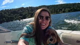 Dog Vlog in the lake district - Ep 2