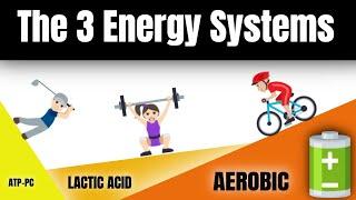 Learn the 3 Energy Systems! ATP-PC, Lactic Acid & Aerobic