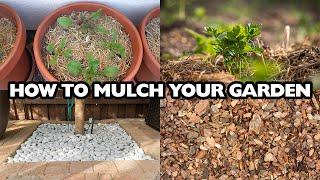 Mastering Mulching: Choose and Apply the Best Mulch for Your Garden!