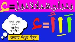 যবর যের পেশ ছাকিন তাশদীদ  সম্পর্কে জানুন এবং আলিফ কে কেন হামজা বলে শিখেনিন |কোরআন শিক্ষা বেসিক ধারনা