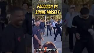 Shane Mosley Shocks Manny Pacquiao With HAND SPEED at 53! 