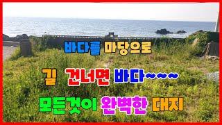 493 발산리 주택부지 매매 바닷가 1선  동해주택부지 매매 영구조망이 가능한 포항주택부지 매매 바다가 주택을 신축하실분  바닷가 주택부지  포항부동산 동해부동산 지목부동산