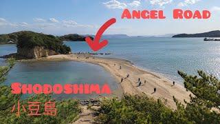 Japan Shodoshima day trip - Visiting Tonosho and Kashimamyo Shrine